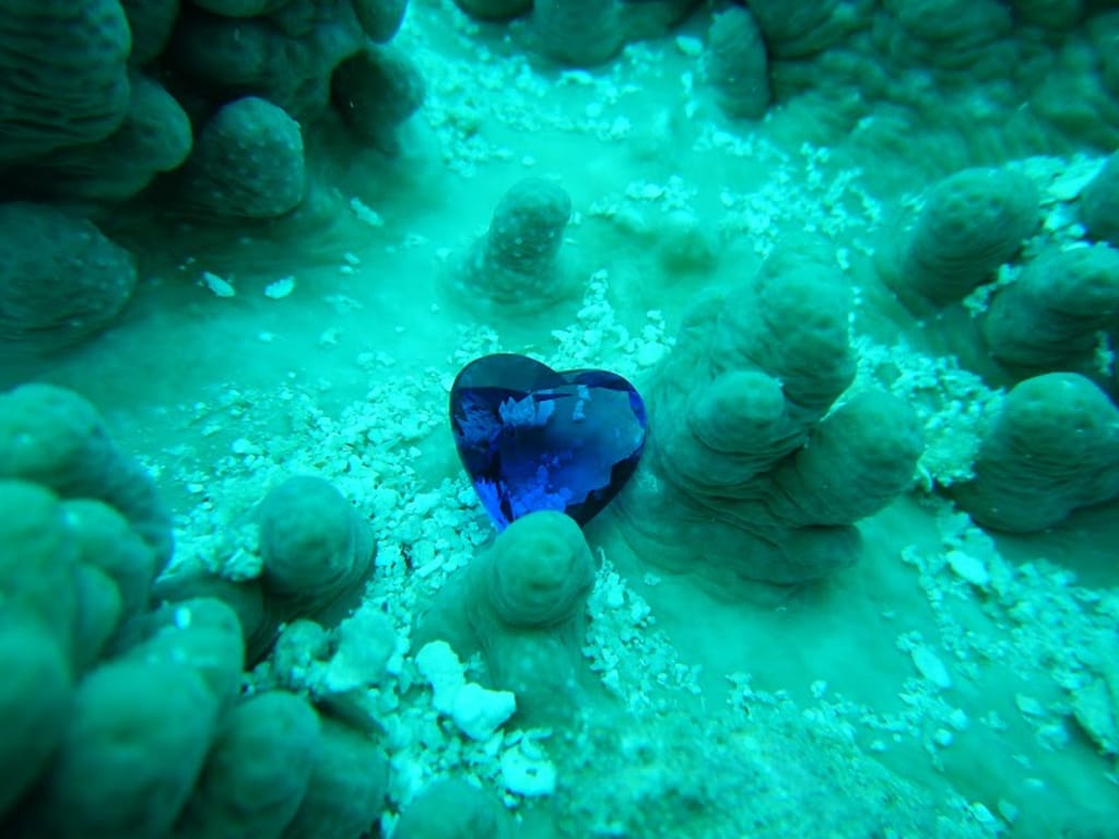 The Heart Shaped Tanzanite Gemstone as viewed From inside the Ocean with Marine Life